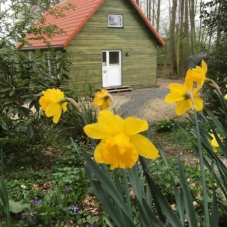 Ferienhaeuser Ohlenbusch Apartment Worpswede