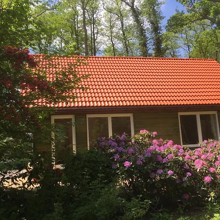 Ferienhaeuser Ohlenbusch